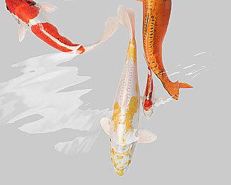 《Valorant》第五幕第一章开幕预告 6月23日上线